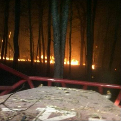 squ6ad's profile picture. Firefighter/Motor Coach Driver. The Bravest