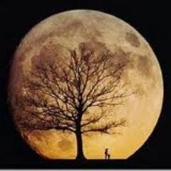 ramliachmed's profile picture. sejak dilahirkan manusia sudah berorganisasi. 
Tidak suka dengan kebohongan.