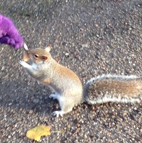 aligonoude's profile picture. read only