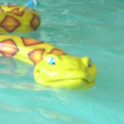 YMCA_Cecil's profile picture. We are a non-profit organization. Christian principals Community driven developing full potential in individuals programs that build healthy spirit, mind, body