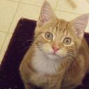 Wayne Preston - @WaynePreston4 - Twitter