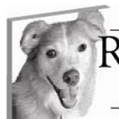 Richardson Rescue is a non-profit animal adoption agency dedicated to preserving the sanctity of animal life.