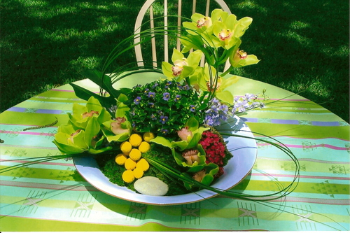 plantsandpetals's profile picture. Alamo Plants and Petals, owner Sue Paciocco is San Antonio Texas premier florist. Specializing in weddings and events. plantsandpetals