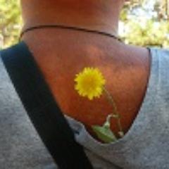 DimMount Profile Picture
