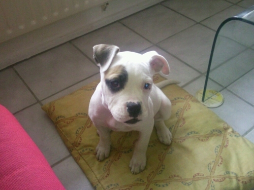 semmeke1984's profile picture. 