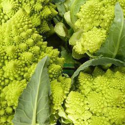 Organic Fruit & Veg & Organic Vegan Wholefoods.