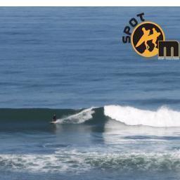 Delivering empty line ups since 2008