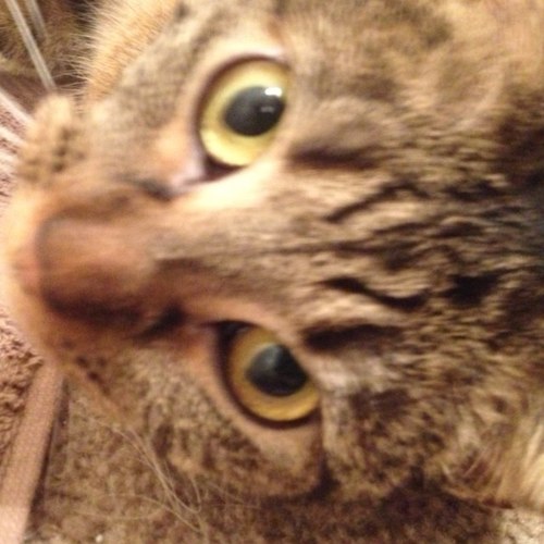 techperformance's profile picture. 