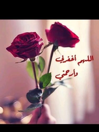 m1mg2m3's profile picture. ‏‏‏همي رضا ربي لتكتمل سعادتي هناك في الجنة