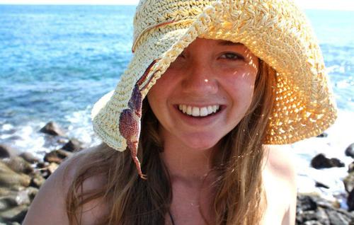 vpizzarella's profile picture. 