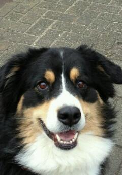 AandewielC's profile picture. 