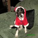 Mandy Glover - @mandydglover - Twitter