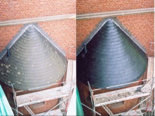 dachpflege's profile picture. 