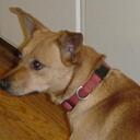 Lawrence Wakefield - @lnmwake - Twitter