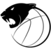 Panthers Boosters (@panthersbooster) Twitter profile photo