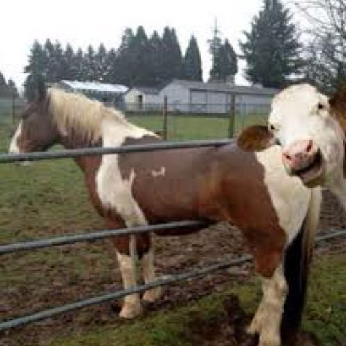 awdrummond's profile picture. Just having a look...