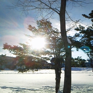 LUVPOU's profile picture. 2013 やりたい事。行きたい所。 凍った瀧観る！富士山登頂！ オーロラ、流氷、トルコ、フィンランド…  屋久島、見島、道東、沖縄が好き。   スノボ、登山、温泉、道の駅、 友人と飲む一時が大好き♡