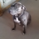 Loretta Walker - @mamaluv4747 - Twitter