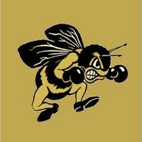 Perrysburg Softball (@perrysburgsoftb) 's Twitter Profile