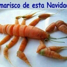 kepettto's profile picture. 