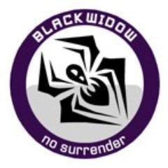 Official Twitter of blackWidow. Female team created in 2008 and playing CS:GO now.