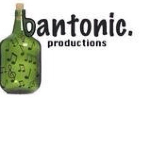 artist, producer Allround entertainer Bantonic to Di planet