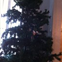 daniel cervera - @87Mudo - Twitter