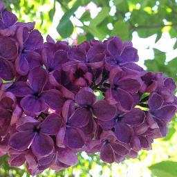 AmTroutFish's profile picture. 