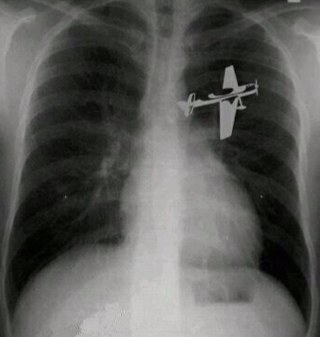 propilot45's profile picture. 