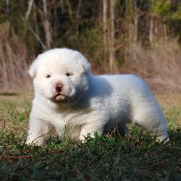 NIEVESBLANCA's profile picture. I am interested in meeting new people.
I am AVON REPRESENTATIVE PLEASE CHECK MY WEB PAGE OUT AT
https://t.co/gQUiKGVRTB