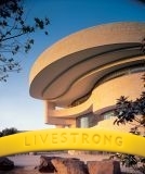 Microcharity's profile picture. Using social media to promote social change