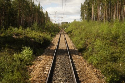 Ett konstprojekt för sinnena, vad är gränser och nationell identitet. Kan Norrland vara ett eget land? 🌻