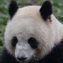 stephen rolfe - @stephenjrolfe - Twitter