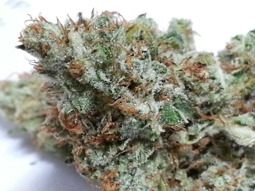 SoCal PROP215, SB420 Compliant