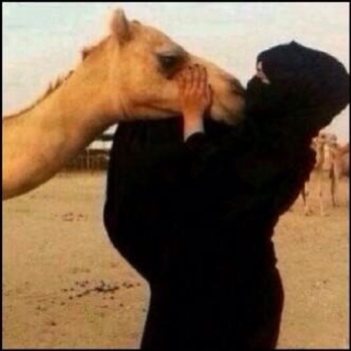 ضيفووونييي..,,,??!!!!!!
