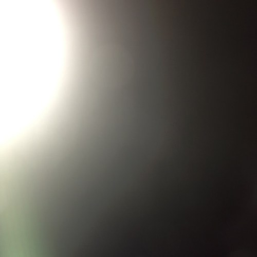 HarmoniceMundi7's profile picture. C. of R. MoS L / 7