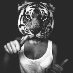 fueraperras1's profile picture. No apta para perras