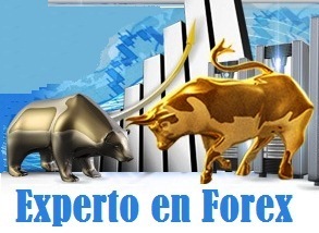 Asesoramiento Forex, Brokers Confiables, Estrategias, Indicadores, Plataformas, Cursos, Señales GRATIS de FOREX para que tengas exito garantizado.