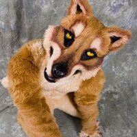 Fuzzy McSmoot (@nitropup) 's Twitter Profile