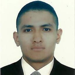 Ingeniero Industrial, tecnólogo en electricidad industrial.