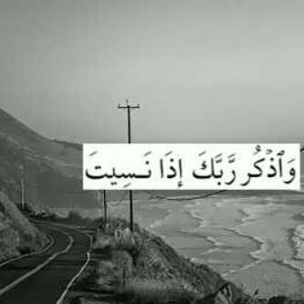 foja2012's profile picture. 