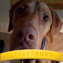 Jonathan Koons - @jrkoons - Twitter