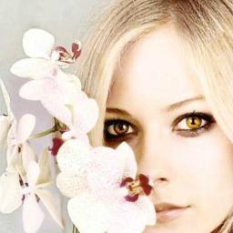 DareMeDelilah's profile picture. Darkness is where I am myself. People see right through me in the light. [21+ RP]