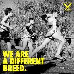 werunthisthing's profile picture. The good, bad, funny, and inspiring pieces of running! #WeRunThisThing #RunnerLife #DeserveVictory