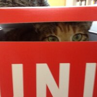 K상 (@iommoi) 's Twitter Profile