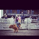 joey_wolf - @steerrider12 - Twitter