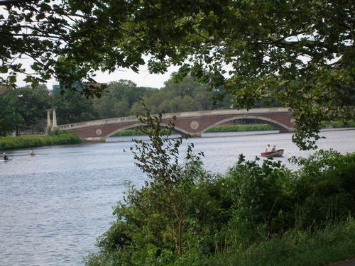 BrooklinePads's profile picture. We strive to empower you with the most up to date real estate information and solutions at the most local level.