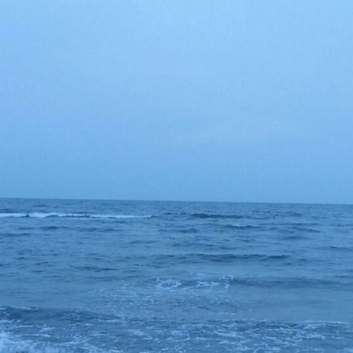 islamMyguide's profile picture. 