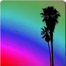 SpiritofVenice's profile picture. Stay in touch with the Spirit of Venice :) Local news, views & activism