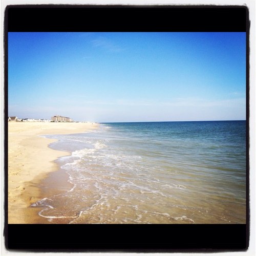 tweanna's profile picture. Software Engineer.  Adrenaline junky, obsessed with tech, travel, photography..